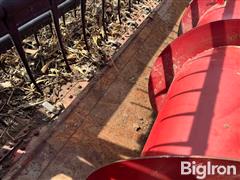 IMG_4620.jpeg