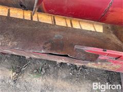 IMG_4608.jpeg