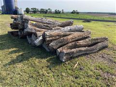 Hedge Fence Posts 