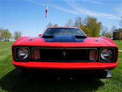 items/576205663de8ed11a81c6045bd4cc723/1973fordmustangmach1_ab9793bf11d947079bae6c56121c63ac.jpg