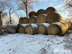 Alfalfa Bales 