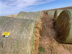 Sudangrass Feed Hay 
