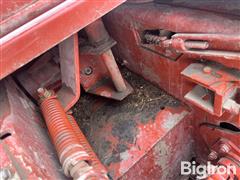 IMG_8518.jpeg