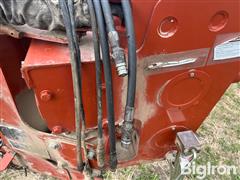 IMG_8529.jpeg