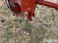 IMG_8528.jpeg