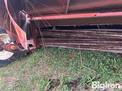 IMG_8542.jpeg