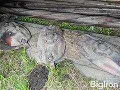 IMG_8520.jpeg