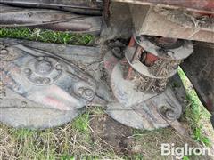 IMG_8519.jpeg