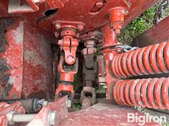 IMG_8517.jpeg