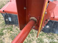 IMG_8525.jpeg