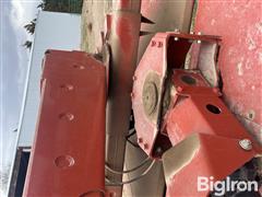 IMG_8522.jpeg