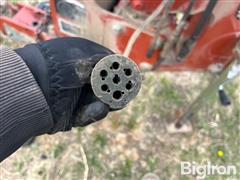 IMG_8532.jpeg