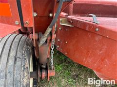 IMG_8516.jpeg