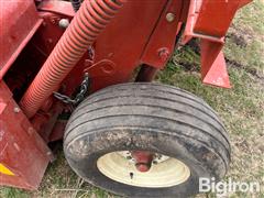 IMG_8514.jpeg