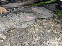IMG_8536.jpeg