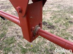 IMG_8526.jpeg