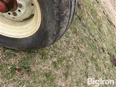 IMG_8513.jpeg