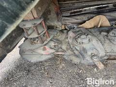 IMG_8537.jpeg