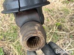 IMG_8534.jpeg