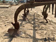 IMG_1569.jpeg