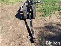 IMG_3684.jpeg