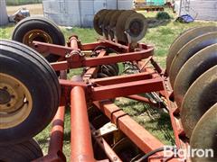 IMG_2116.jpeg