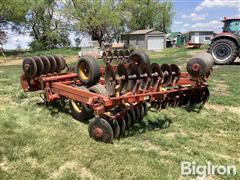 IMG_2081.jpeg