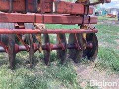IMG_2130.jpeg