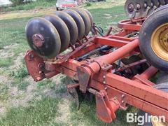 IMG_2096.jpeg