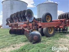 IMG_2133.jpeg