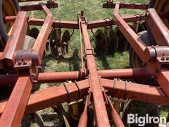 IMG_2117.jpeg
