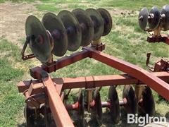 IMG_2114.jpeg