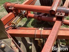 IMG_2119.jpeg
