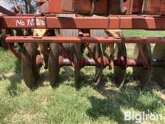 IMG_2129.jpeg