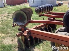 IMG_2110.jpeg