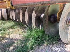 IMG_2124.jpeg