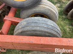 IMG_2095.jpeg