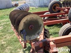 IMG_2106.jpeg