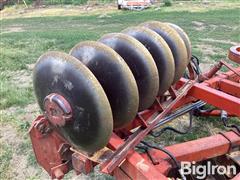 IMG_2093.jpeg