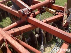 IMG_2118.jpeg