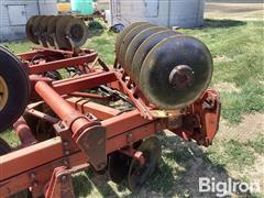 IMG_2112.jpeg