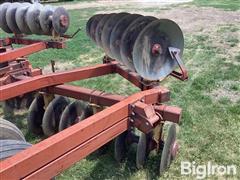 IMG_2097.jpeg