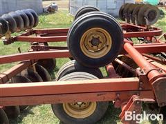 IMG_2111.jpeg