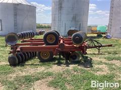 IMG_2084.jpeg
