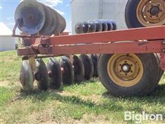 IMG_2134.jpeg