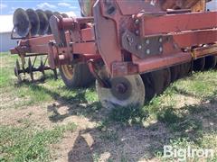 IMG_2136.jpeg