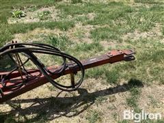IMG_2121.jpeg