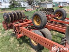 IMG_2098.jpeg