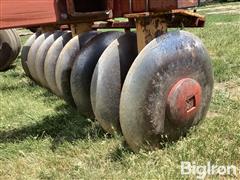 IMG_2126.jpeg