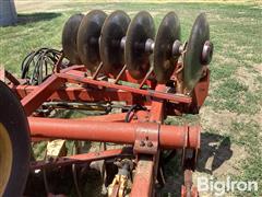 IMG_2115.jpeg